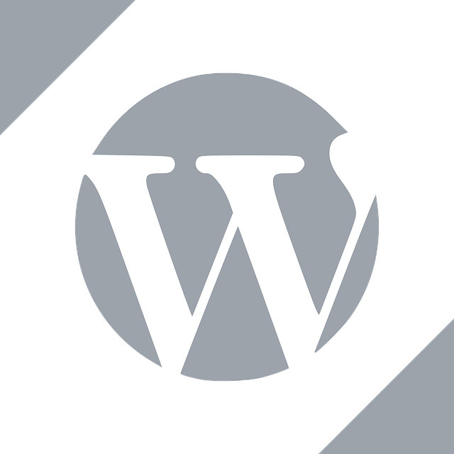 Blog WordPress - Tudo sobre WordPress - Wellington Faria